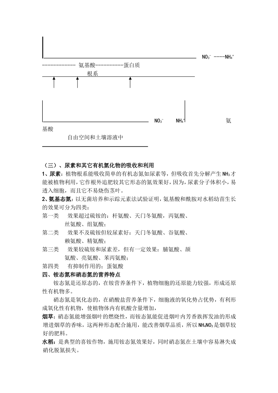 植物的氮素营养与氮肥_第3页