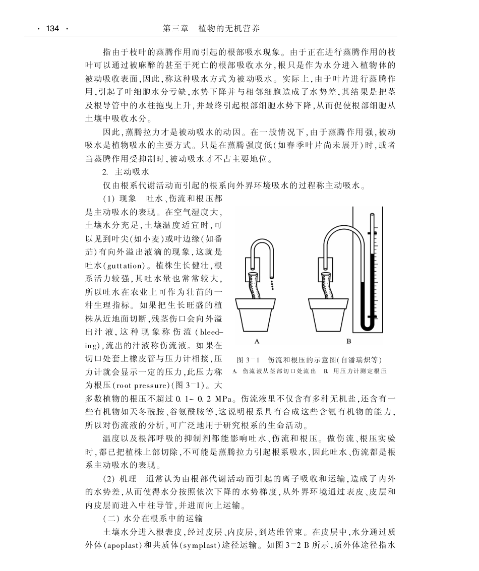 植物的无机营养_第2页