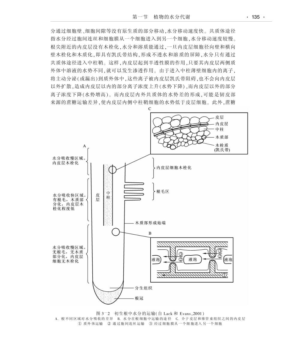 植物的无机营养_第3页