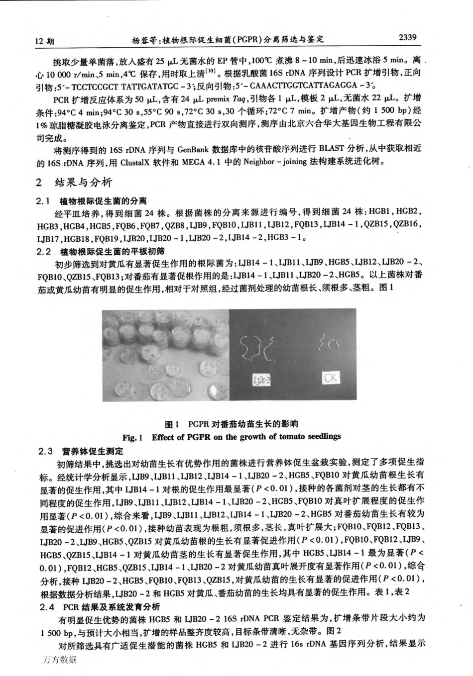植物根际促生细菌(PGPR)分离筛选与鉴定_第3页