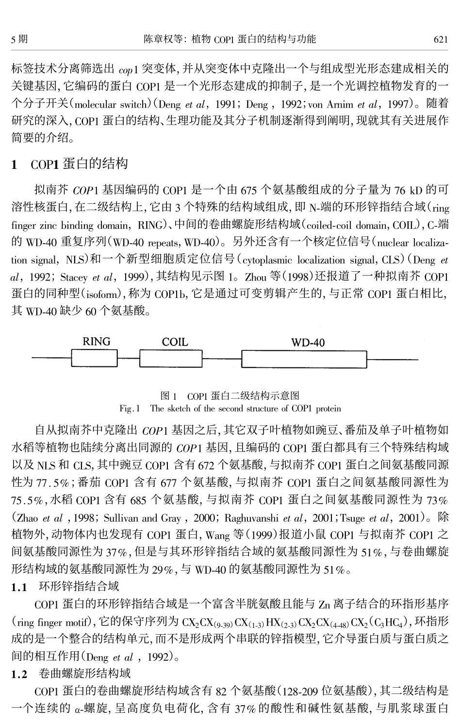 植物COP1蛋白的结构与功能_第2页