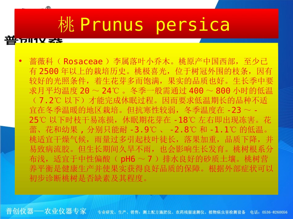 桃营养失衡图文解——桃树缺素症状图_第2页