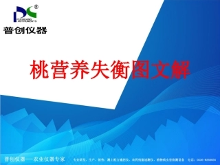 桃营养失衡图文解——桃树缺素症状图