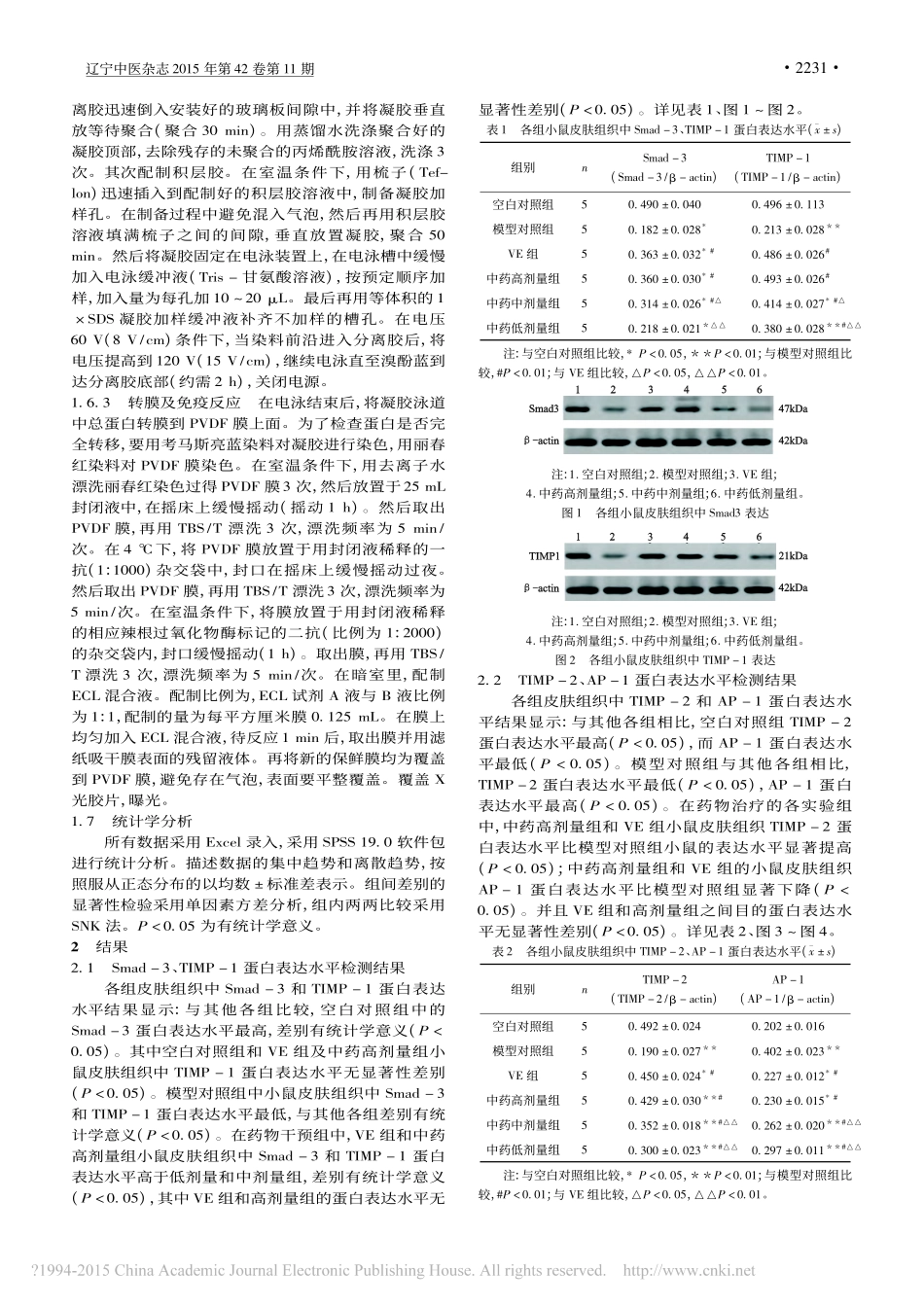 桃红四物汤对光老化小鼠皮肤组织中_省略__2_AP_1蛋白表达水平的影响_张宇__第3页