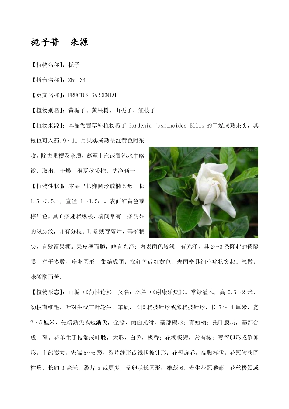 栀子苷——应用及来源_第2页
