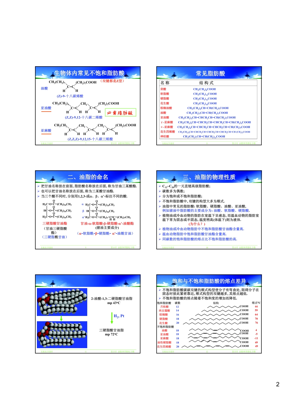 有机化学课件——Chapter 13 脂类化合物_第2页