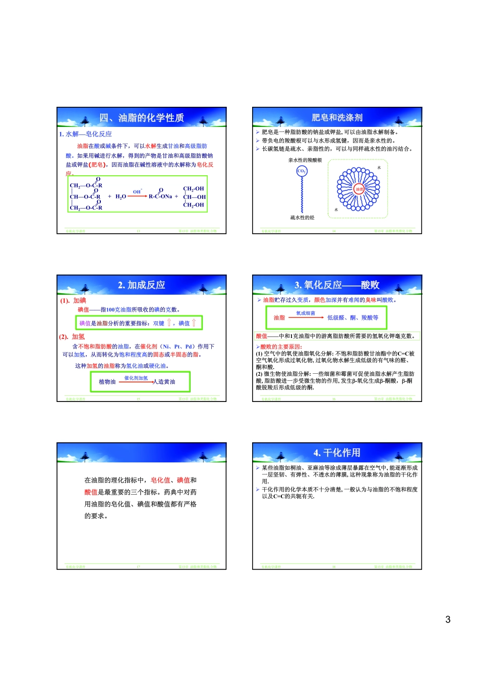 有机化学课件——Chapter 13 脂类化合物_第3页
