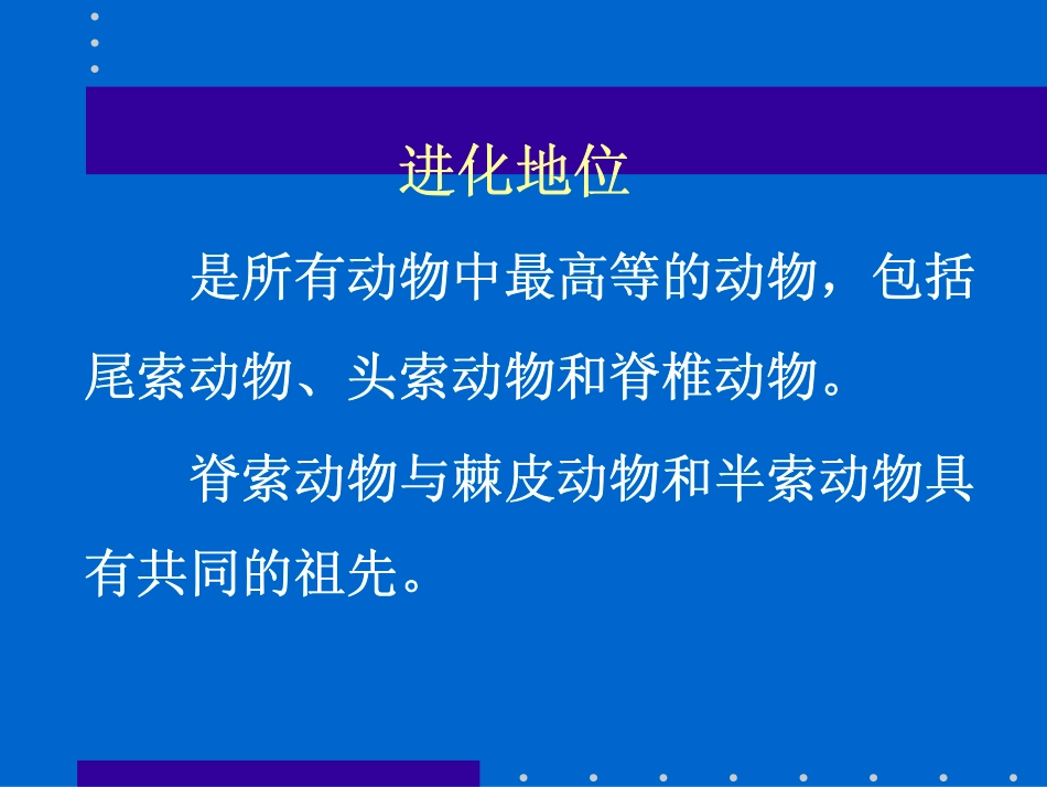 最高等的动物门类 --脊索动物门(Chordata)_第2页