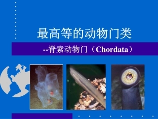 最高等的动物门类 --脊索动物门(Chordata)