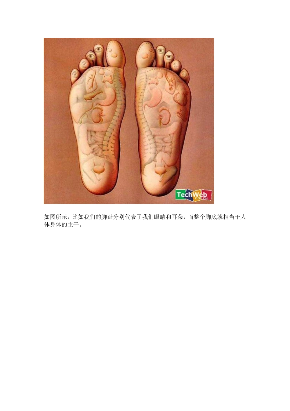 最健康的生活规律_第3页