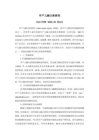 早产儿脑白质损伤