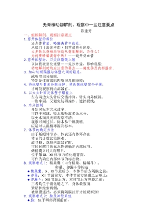 无脊椎动物解剖