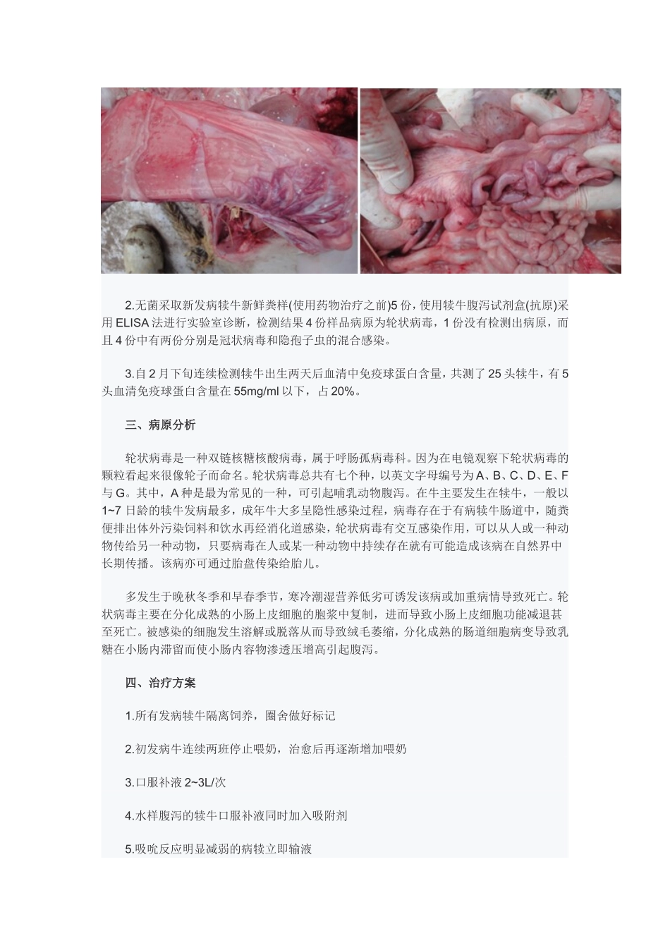 新生犊牛腹泻病例防治体会_第2页