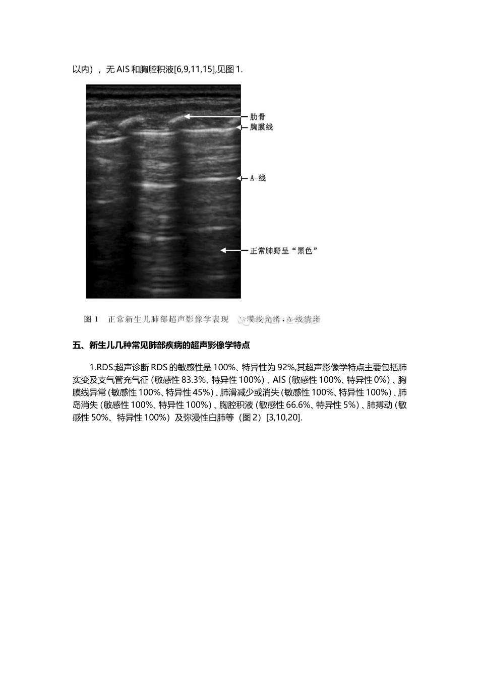 新生儿肺部疾病的超声诊断_第3页