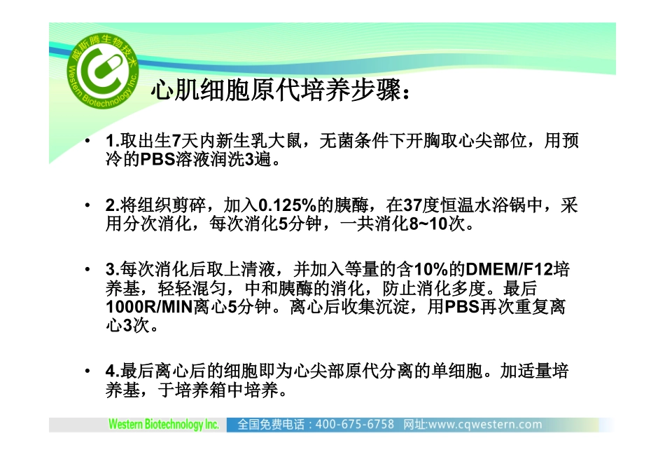 新生乳大鼠心肌细胞培养_第3页
