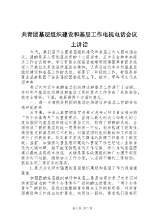 共青团基层组织建设和基层工作电视电话会议上讲话发言