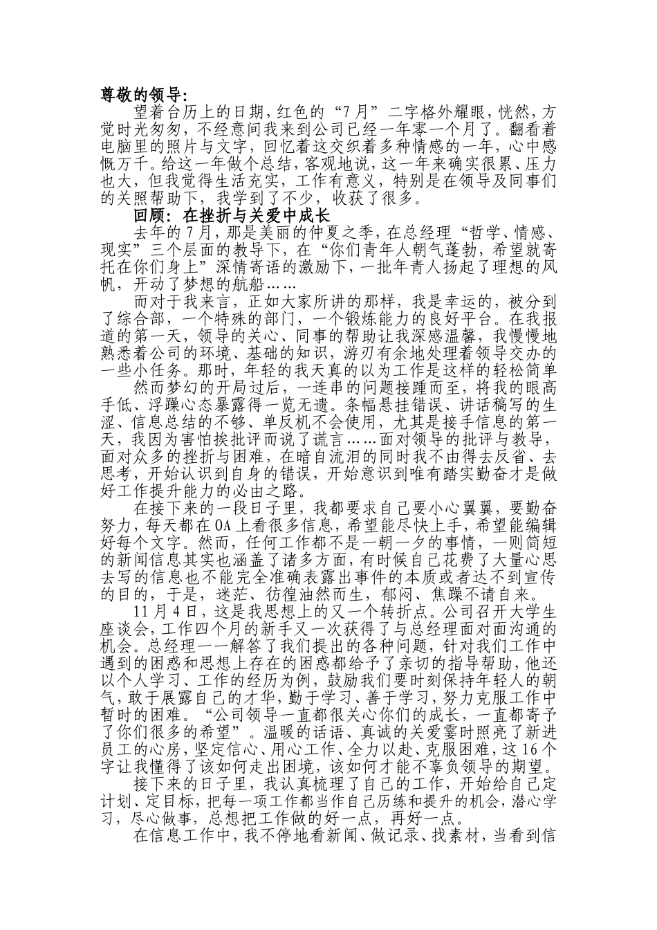 新入职一年工作总结_第1页