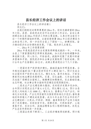 县长经济工作会议上的讲话发言