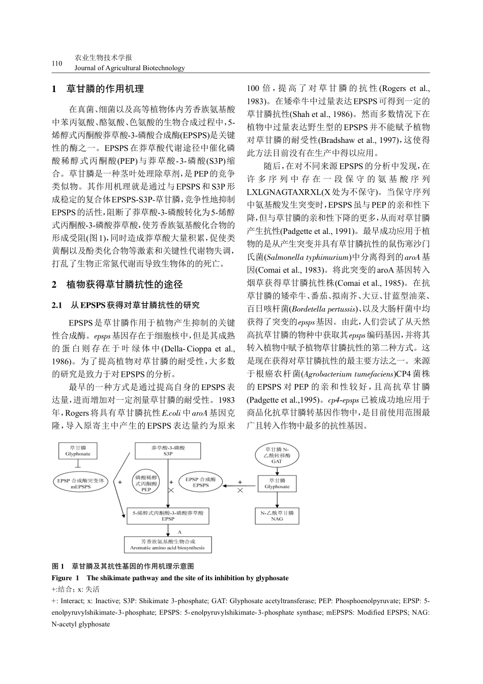 我国抗草甘膦基因的发掘现状_第2页