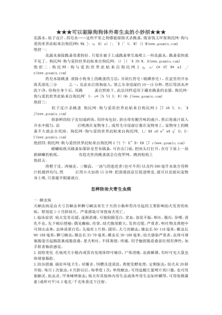 怎样防治犬寄生虫病