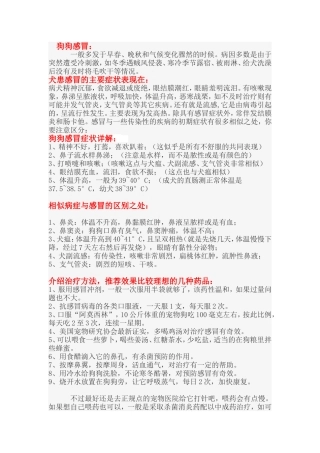 怎样治疗狗狗感冒？