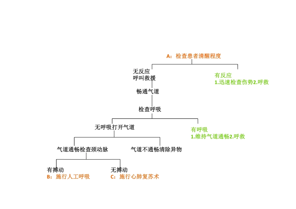 心肺复苏-(CPR)注意事项_第2页