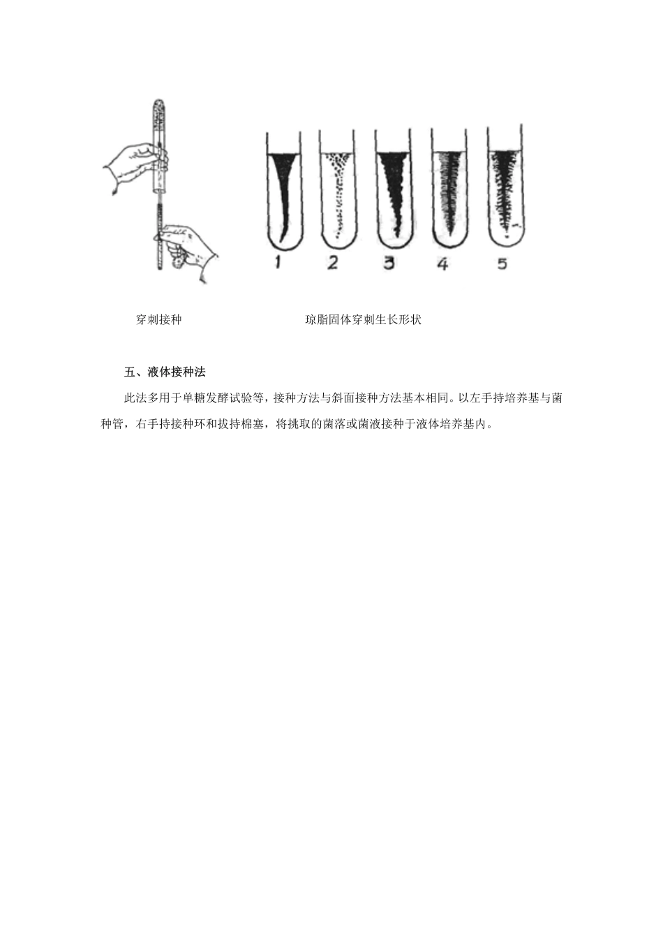微生物菌种操作方法汇总_第3页