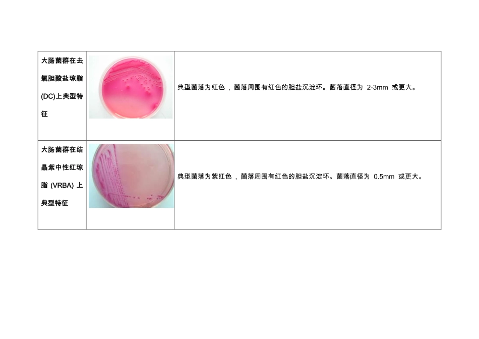 微生物菌落形态图片_第3页