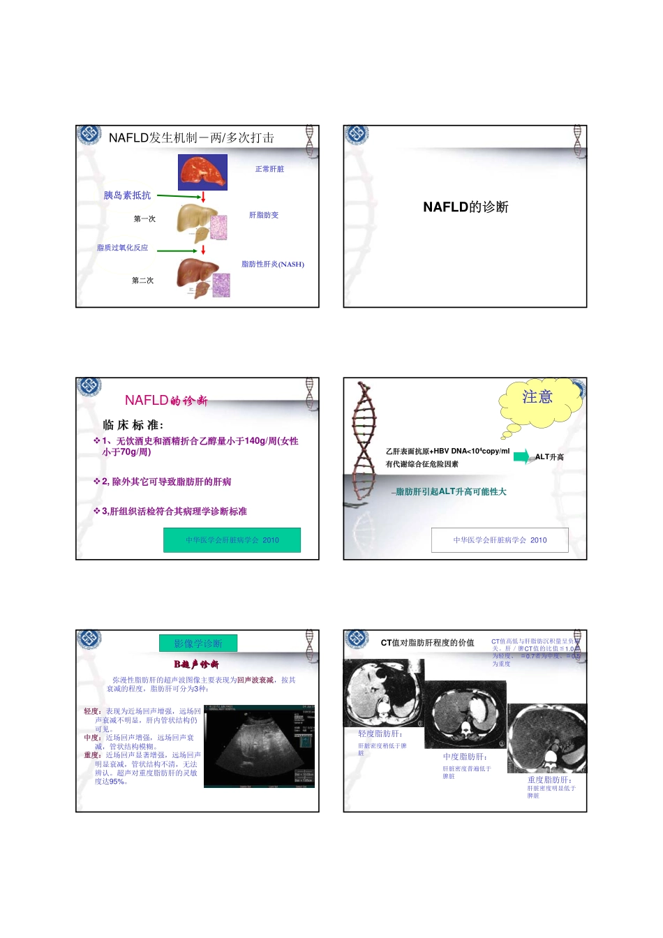 张桂英 非酒精性脂肪肝_第2页