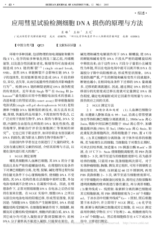 应用彗星试验检测细胞DNA损伤的原理与方法