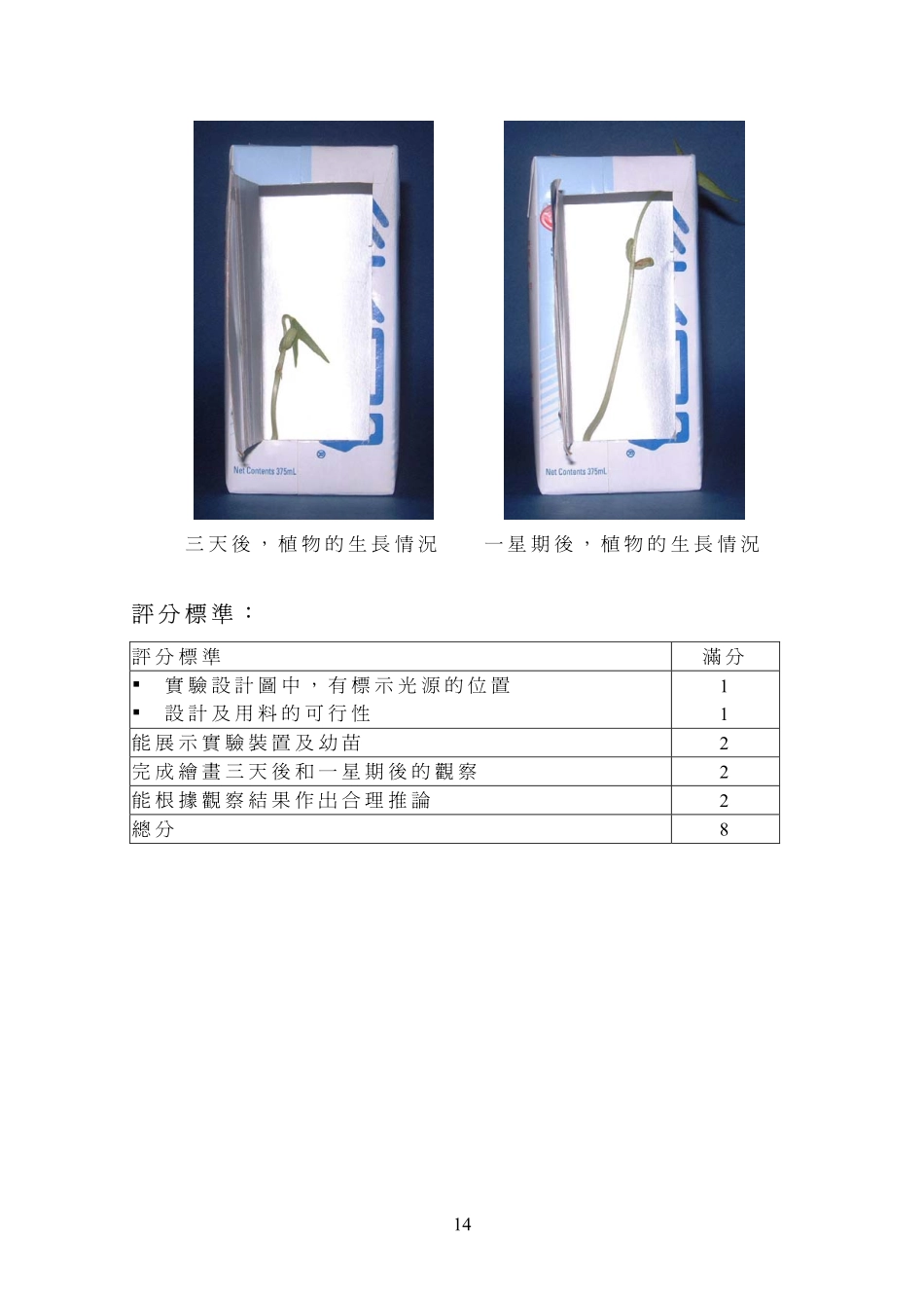 幼苗对光的反应_第3页