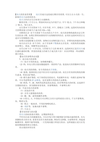 幼犬的饮食管理