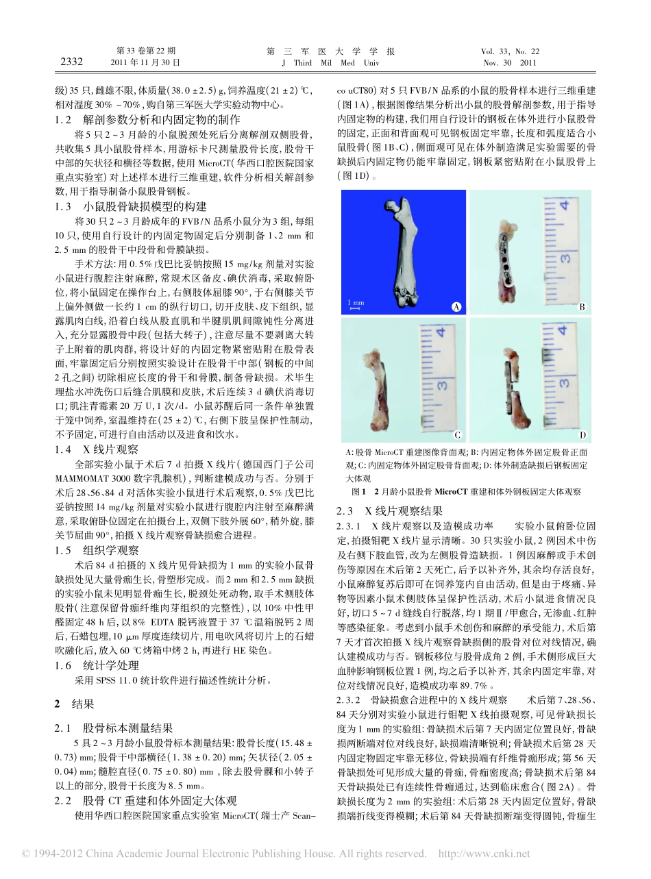 小鼠股骨临界骨缺损模型的构建及评估_靳慧勇_第2页