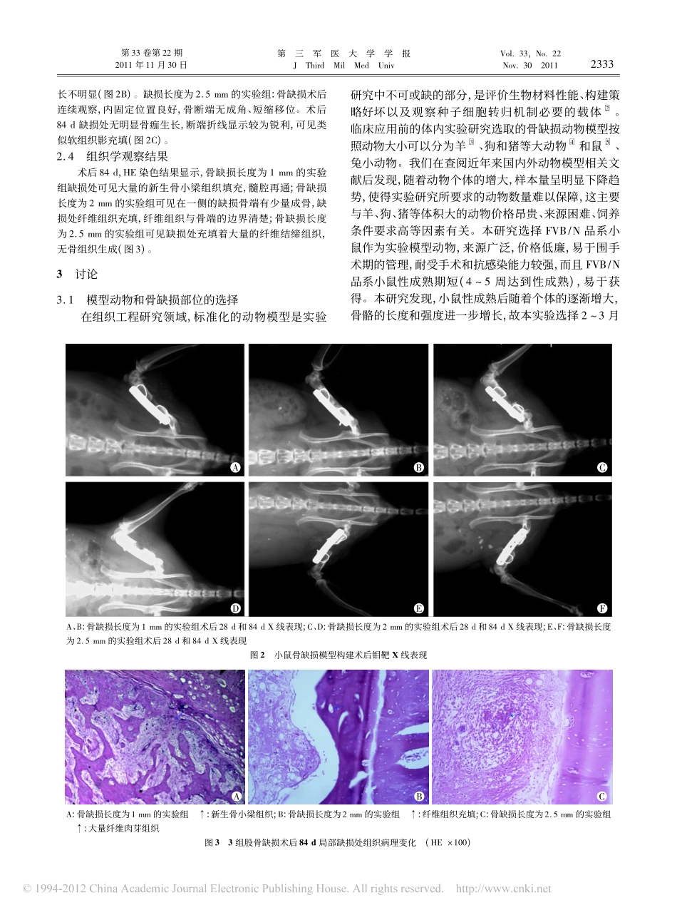 小鼠股骨临界骨缺损模型的构建及评估_靳慧勇_第3页