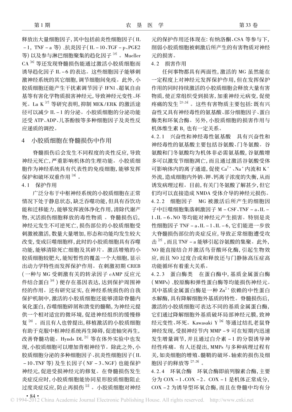 小胶质细胞与脊髓损伤_第3页