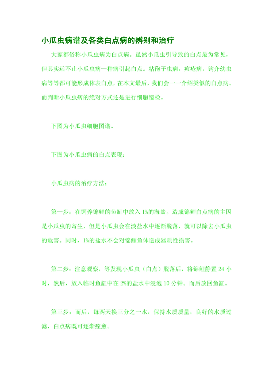 小瓜虫病谱及各类白点病的辨别和治疗_第1页
