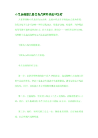 小瓜虫病谱及各类白点病的辨别和治疗