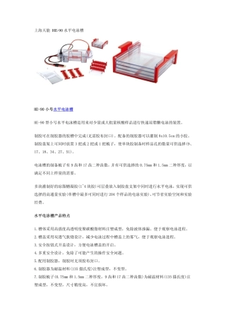 小号电泳槽特点参数