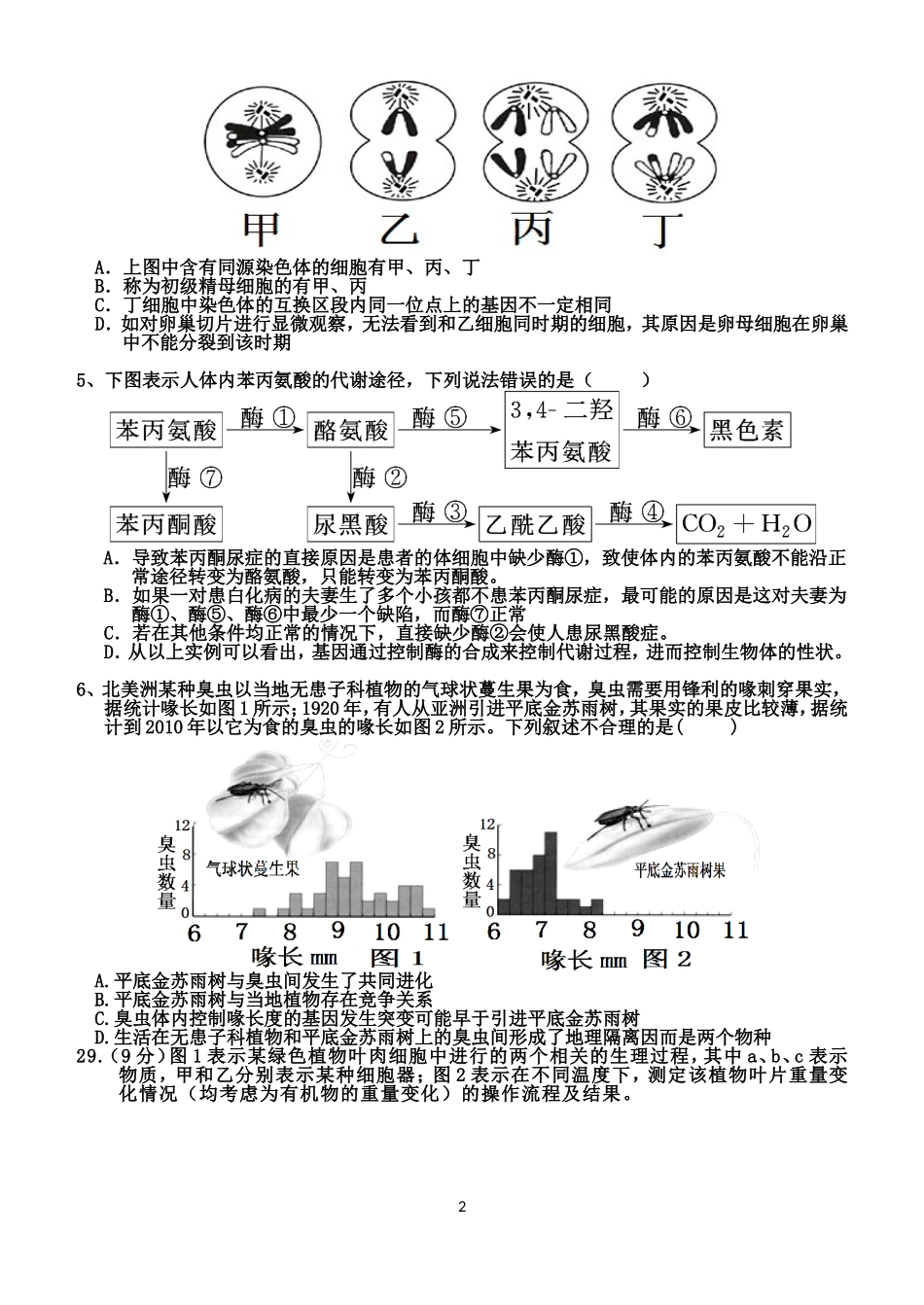 孝感高中2015届高三理综测试(十)_第2页