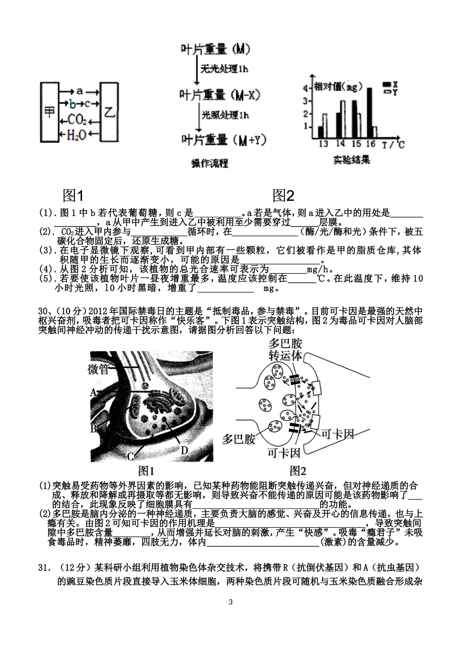 孝感高中2015届高三理综测试(十)_第3页