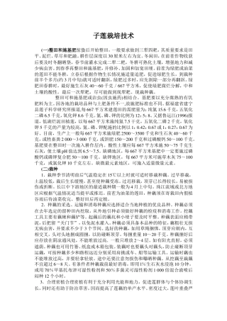 子莲栽培技术