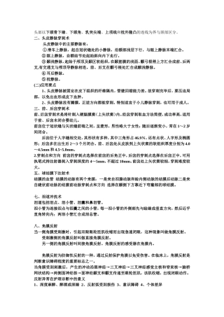 头部以下颌骨下缘