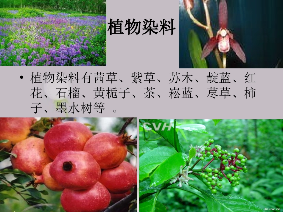 天然植物染料_第3页
