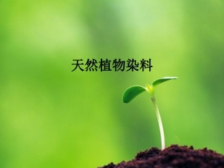 天然植物染料