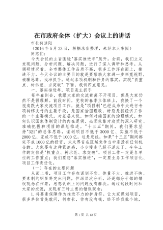 在市政府全体（扩大）会议上的讲话发言
