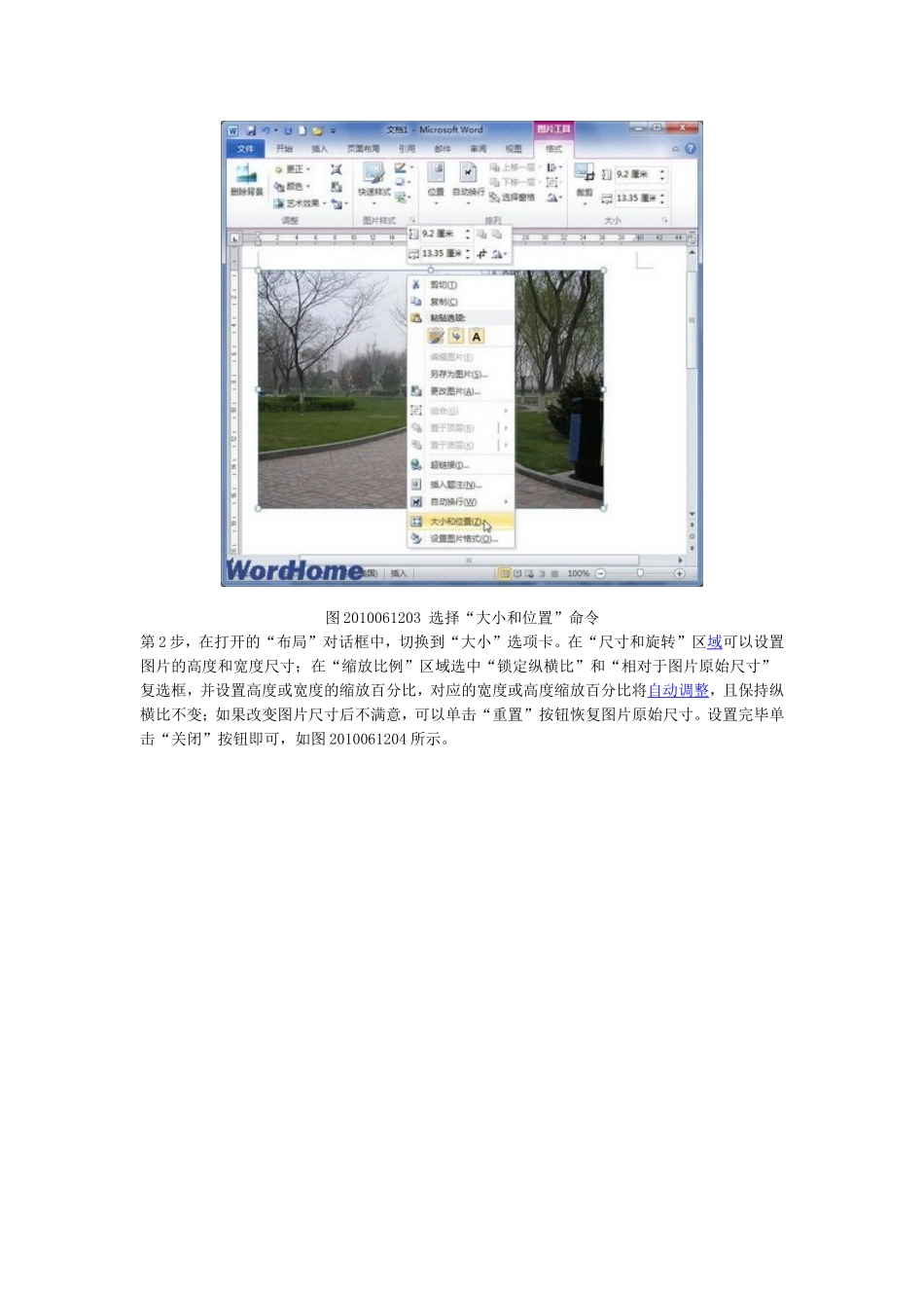 在Word2010文档中设置图片尺寸_第3页