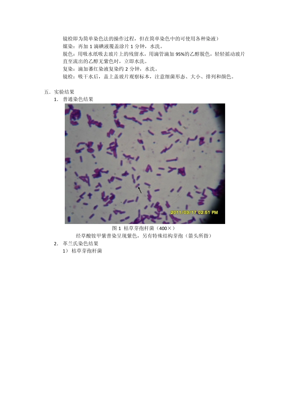 土壤提取微生物实验_第2页