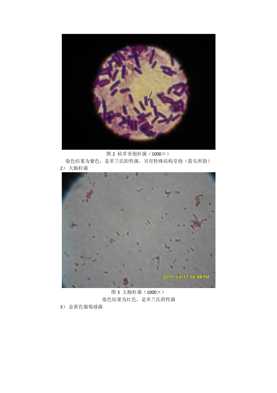 土壤提取微生物实验_第3页