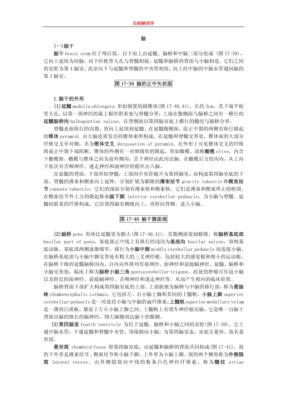 图 17-39 脑的正中矢状面_第1页