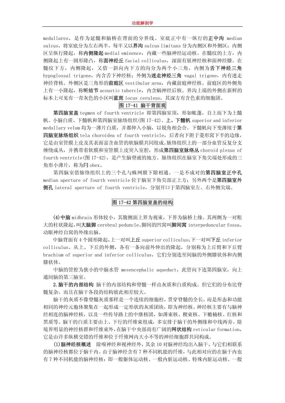 图 17-39 脑的正中矢状面_第2页